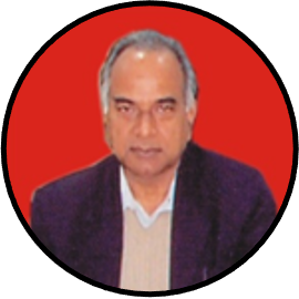 Prof. S. N. Upadhyay